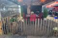 images/Bilder-Vereins-Blog/DM25/DM25-03.jpeg